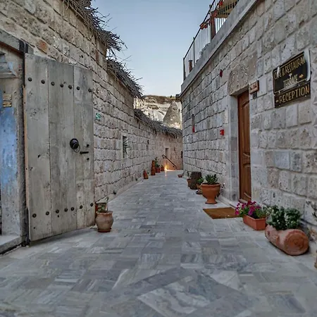 Sah Saray Cave Halal 酒店