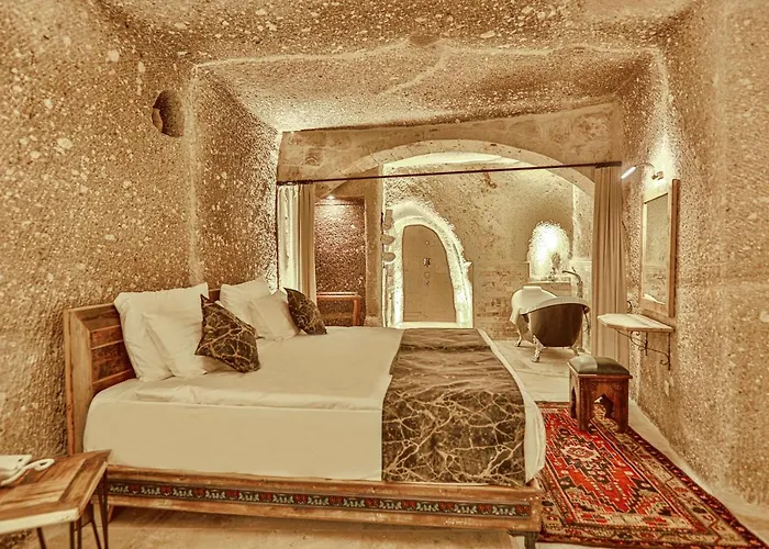 Sah Saray Cave Halal Hotel *